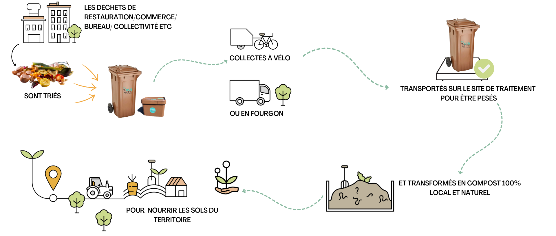 Etapes de collecte de déchets alimentaires par OuiCompost Un schéma qui retrace les étapes de collecte et de compostage des déchets alimentaires chez les professionnels par OuiCompost. On voit les étapes suivantes : tri de déchets dans la structure en utilisant les bacs de différentes tailles fournis par OuiCompost, la collecte en vélo ou en fourgon, acheminement sur le site de compostage où les bacs sont pesés et les déchets sont valorisés en compost. Ce compost est ensuite vendu aux acteurs du territoire pour nourrir les sol et soutenir l'agriculture locale et durable.